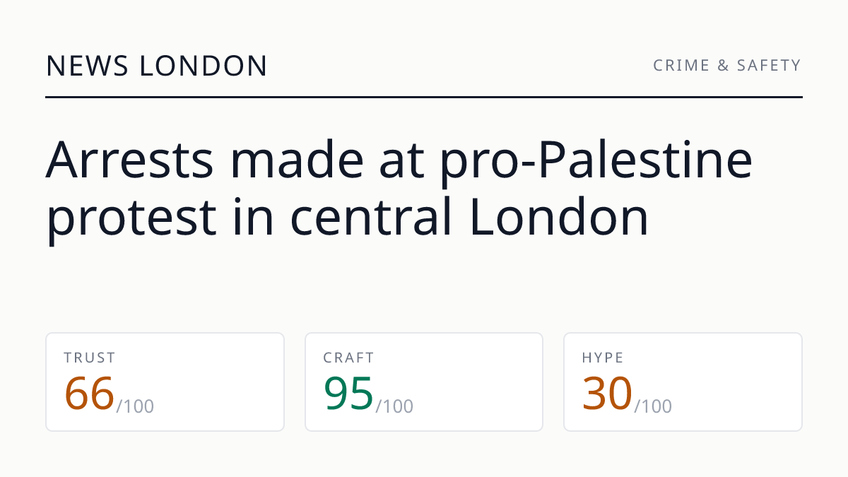 Arrests made at pro-Palestine protest in central London