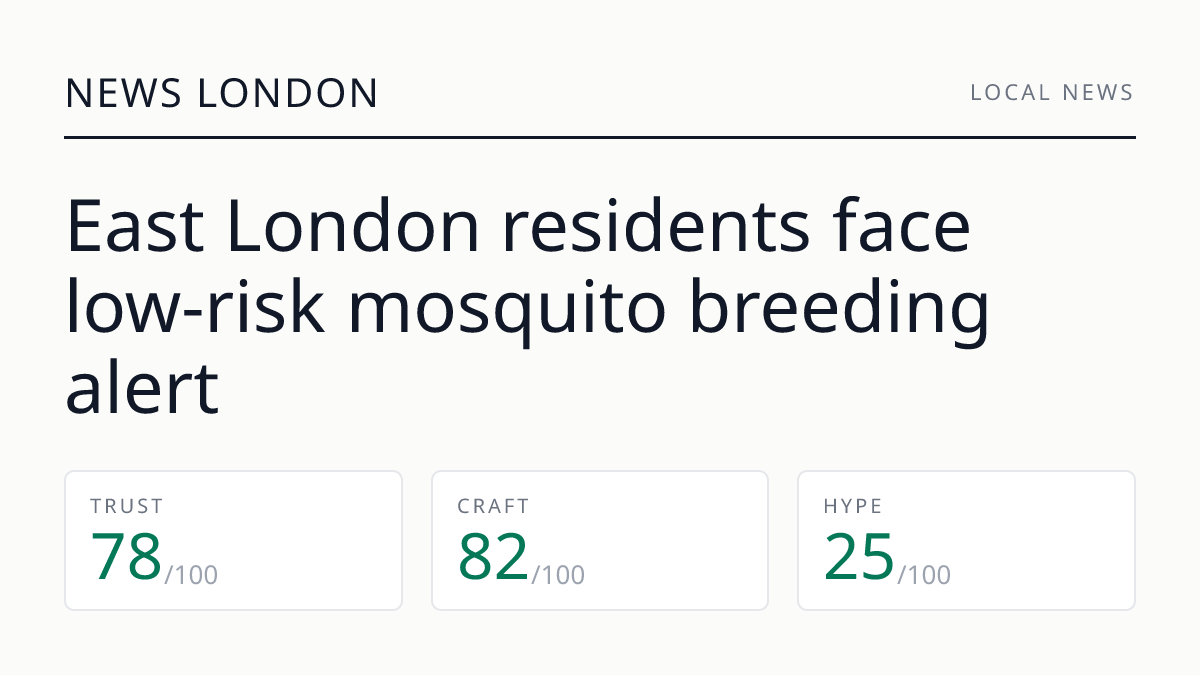 East London residents face low‑risk mosquito breeding alert