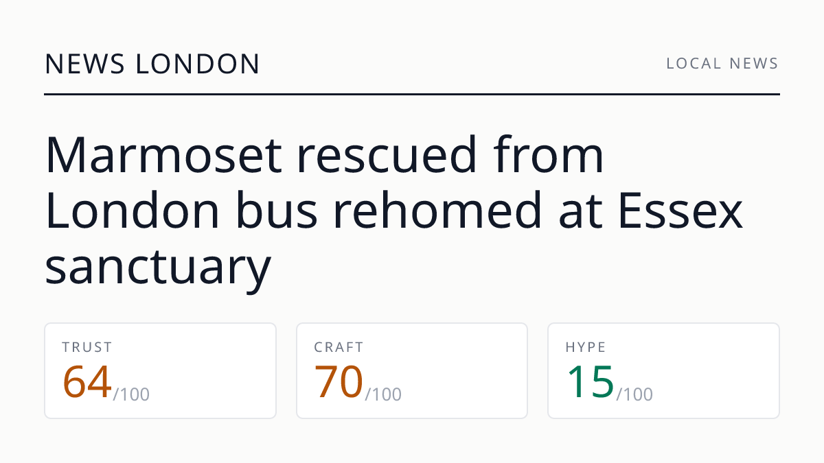 Marmoset rescued from London bus rehomed at Essex sanctuary