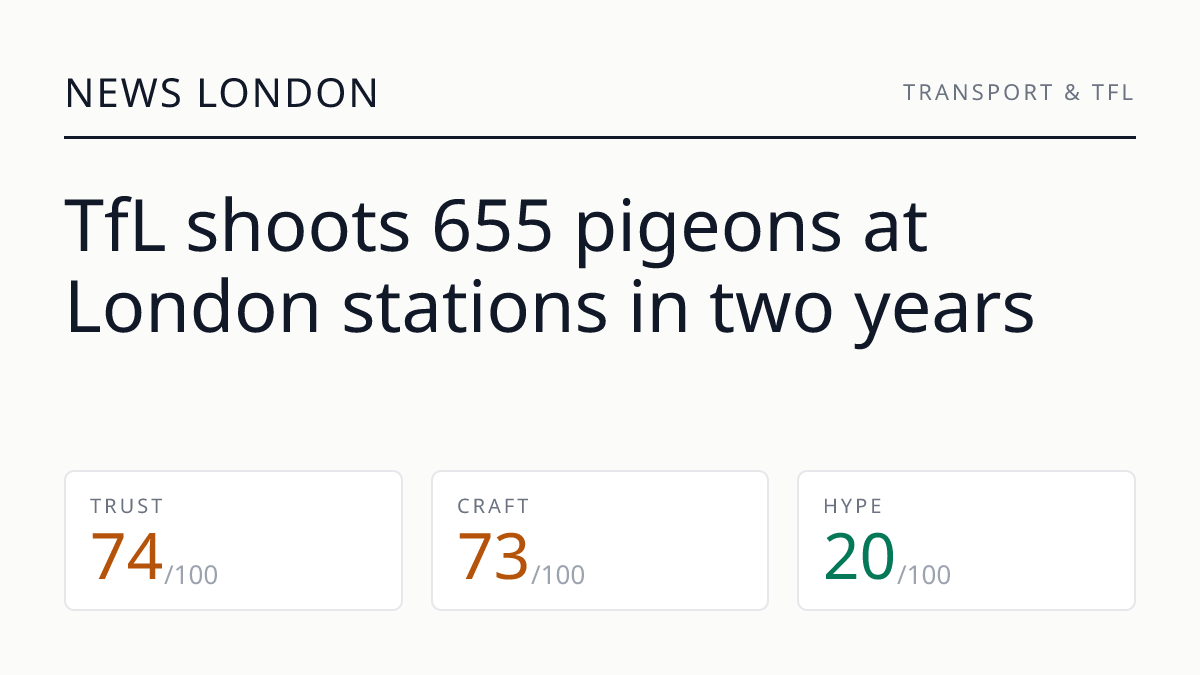TfL shoots 655 pigeons at London stations in two years