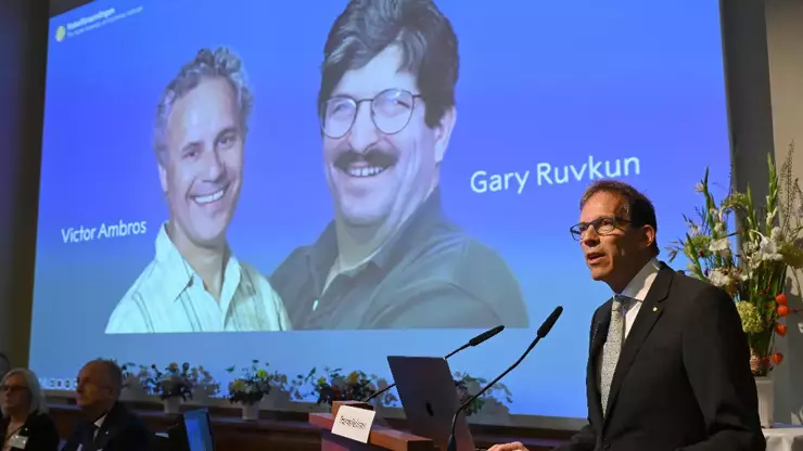 Victor Ambros and Gary Ruvkun Win Nobel Prize in Medicine